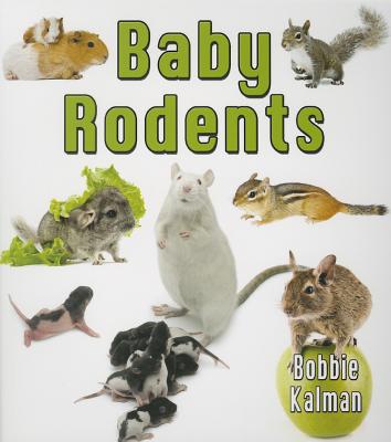 Mice, Hamsters, Guinea Pigs, Squirrels, Etc.